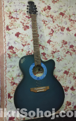 Signature Acoustic Guitar